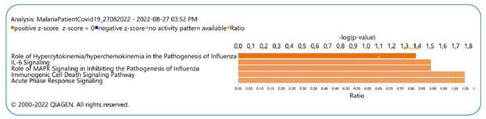 FIGURE 3: