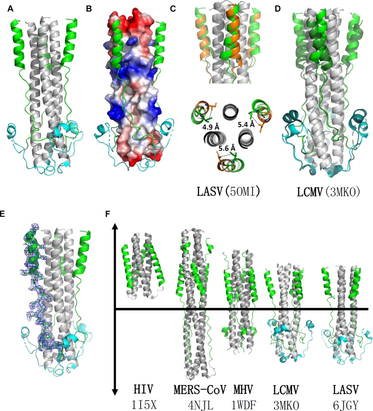 FIGURE 2