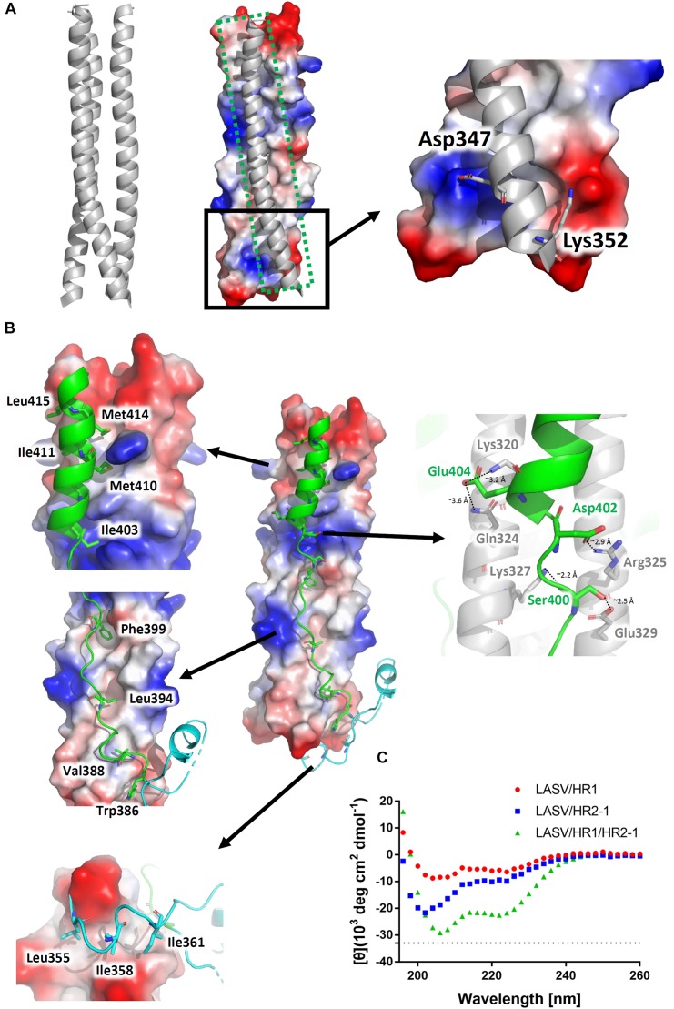 FIGURE 3