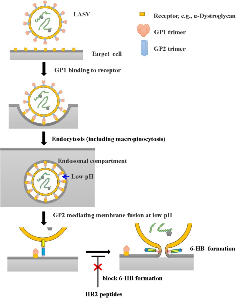 FIGURE 6