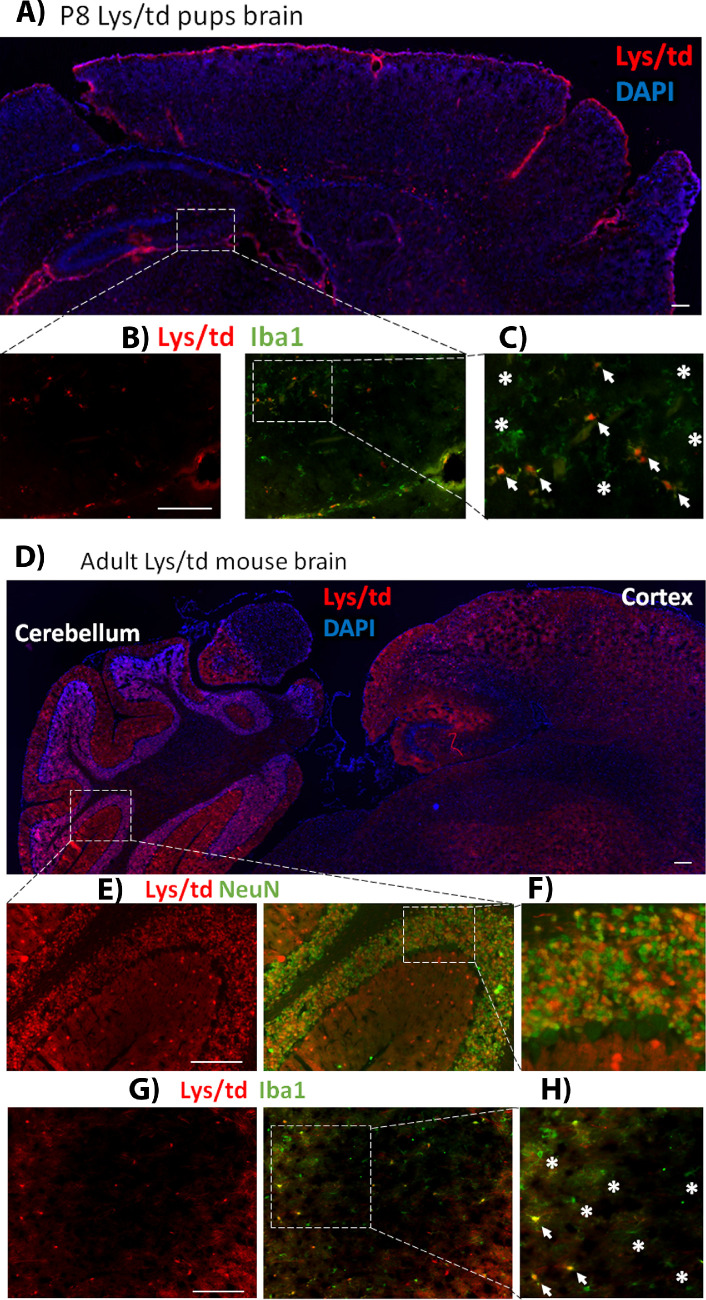 Figure 4.