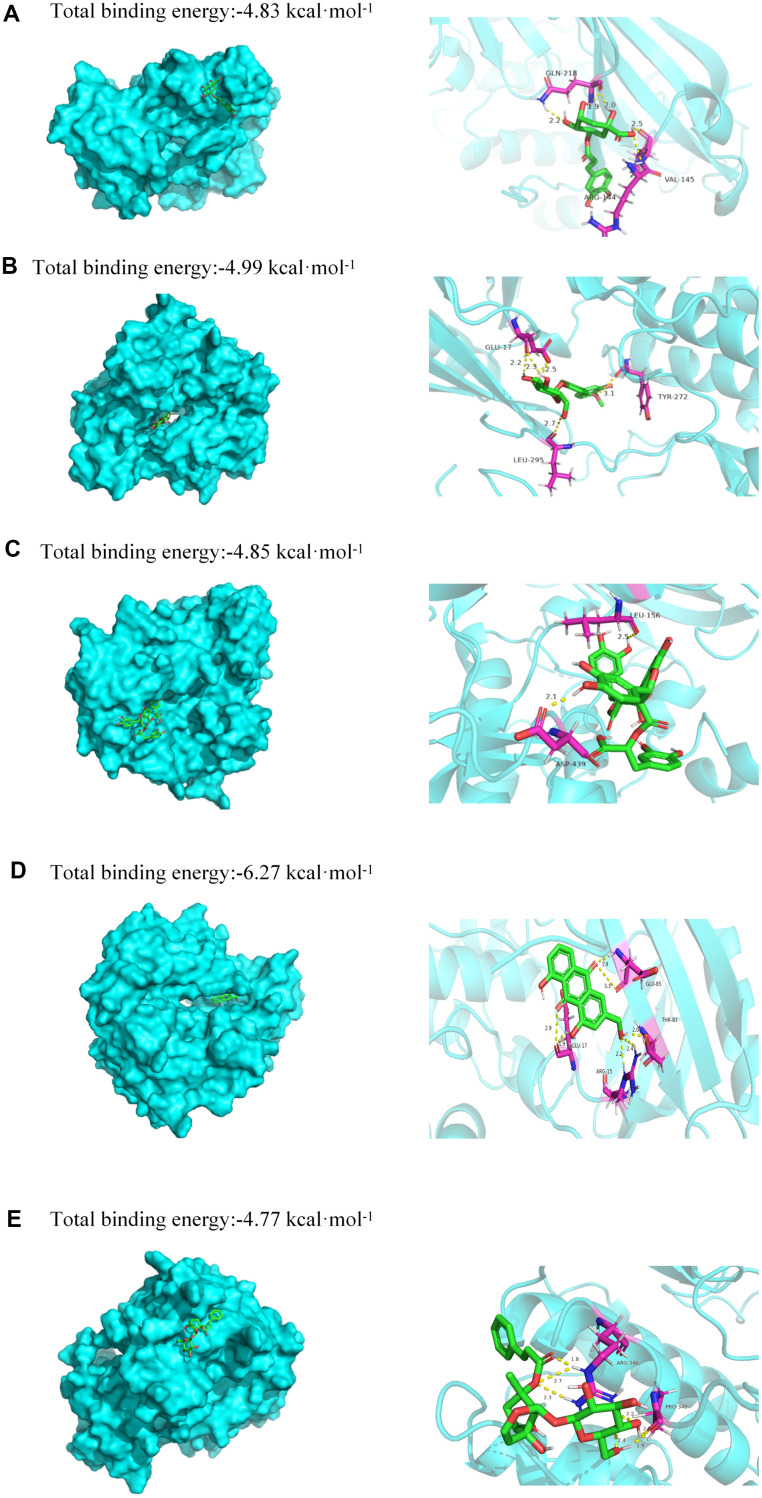 Figure 7