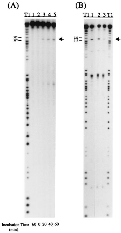 FIG. 5