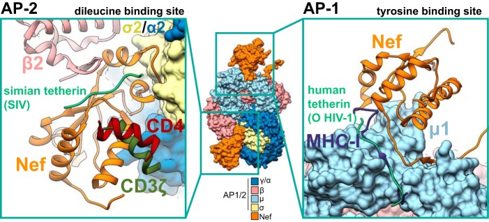 FIG 4