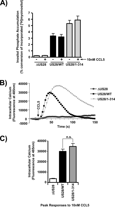 FIG. 6.