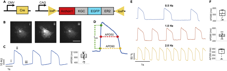 Figure 1