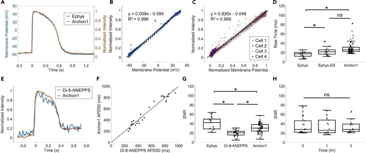 Figure 2