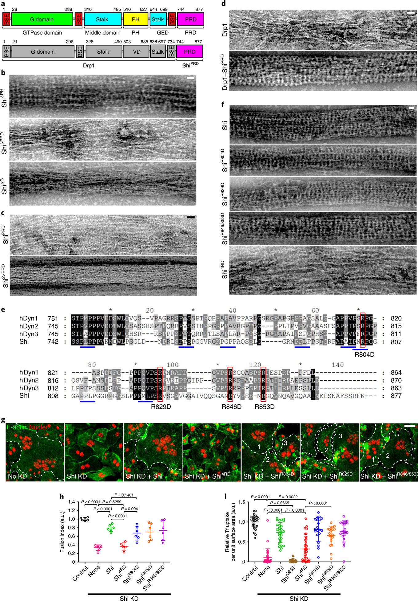 Fig. 4 |