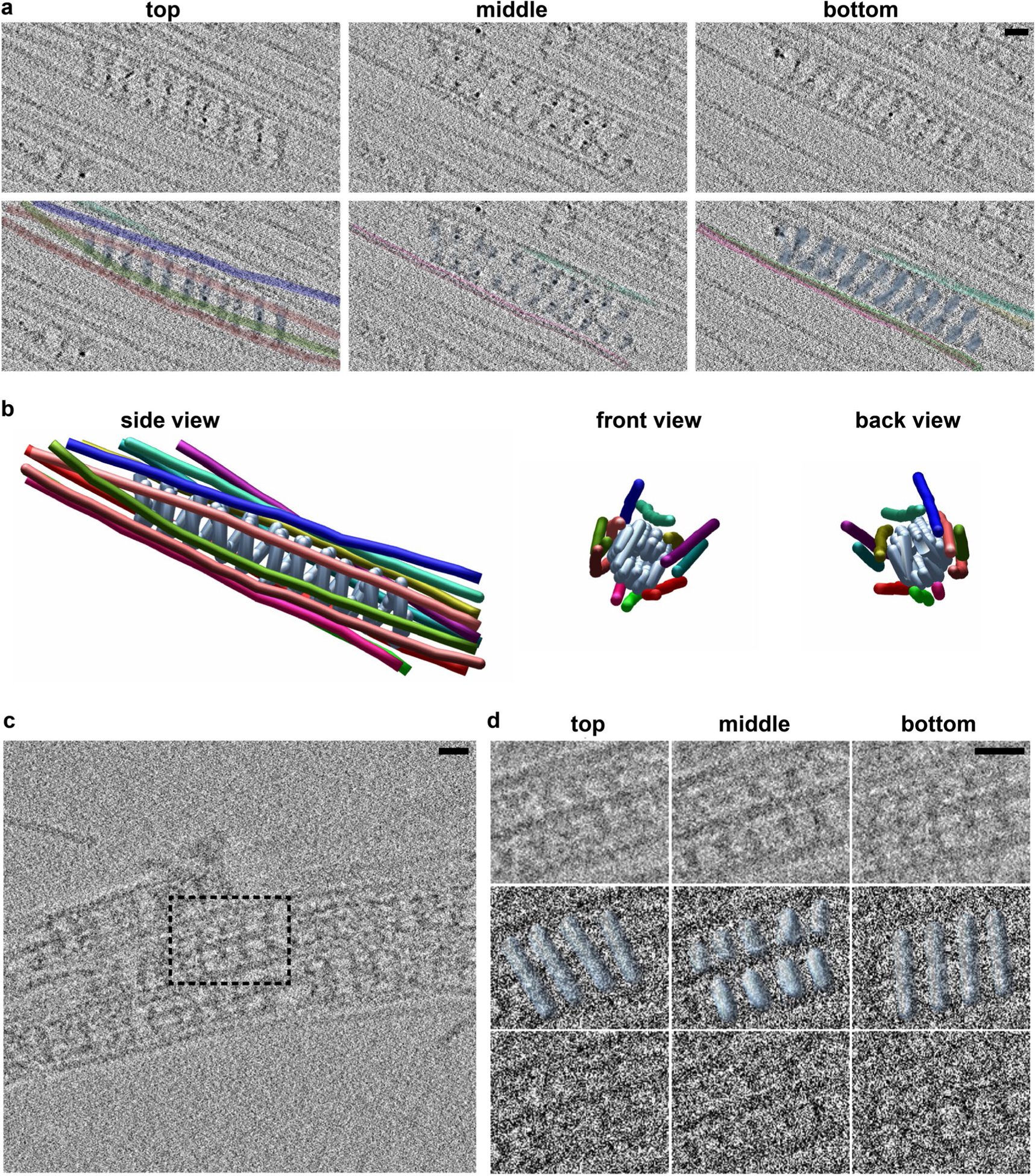 Extended Data Fig. 7 |