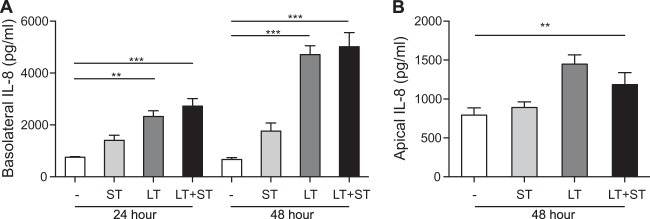 FIG 6