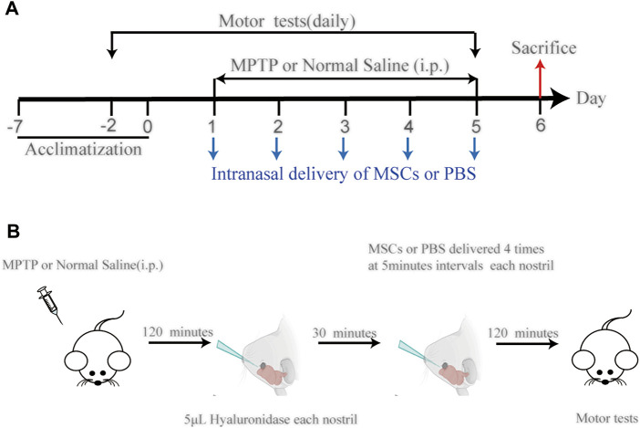 FIGURE 1