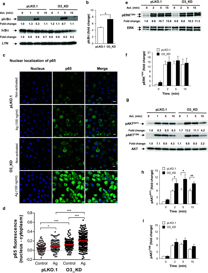 Fig. 6