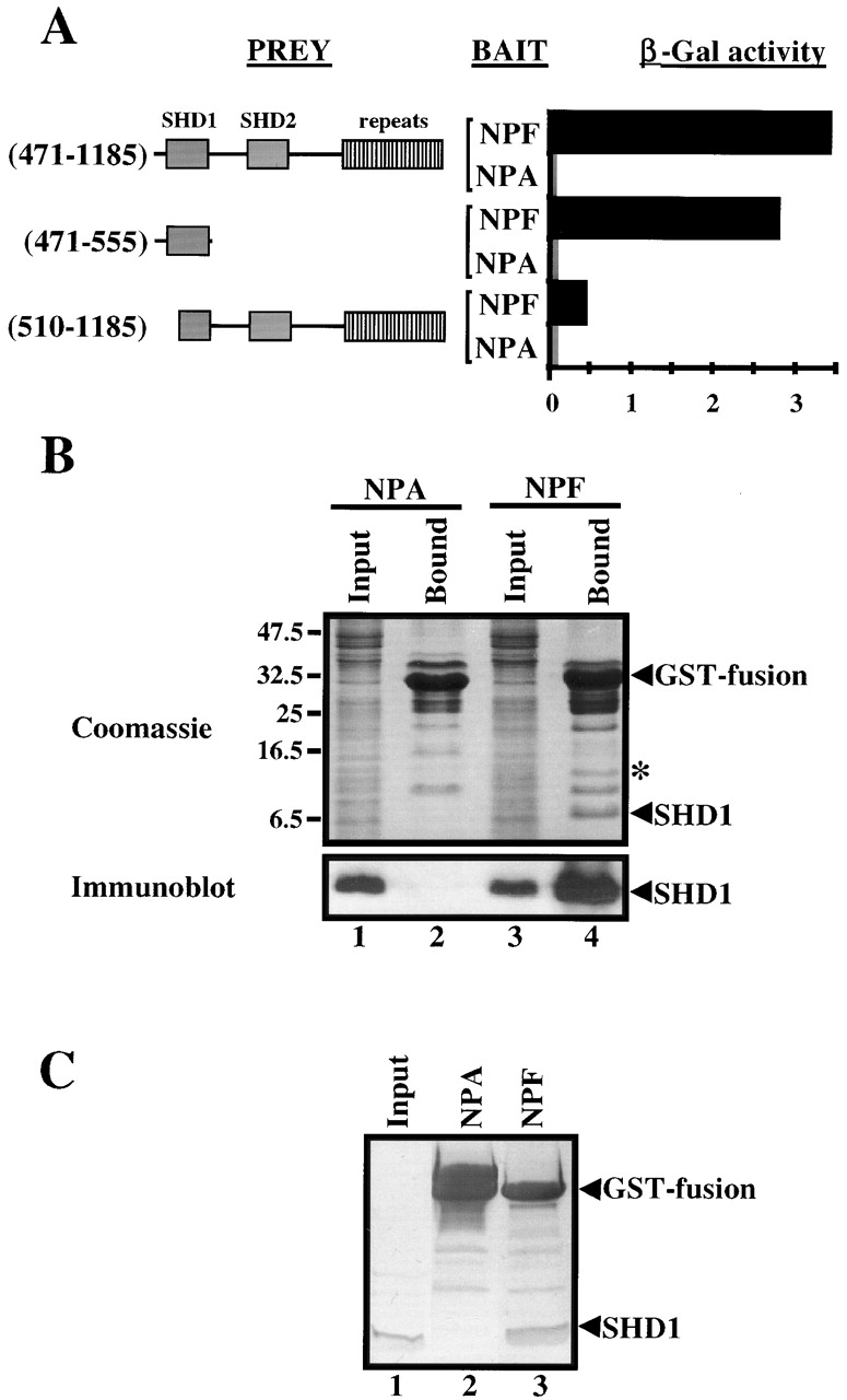 Figure 5.