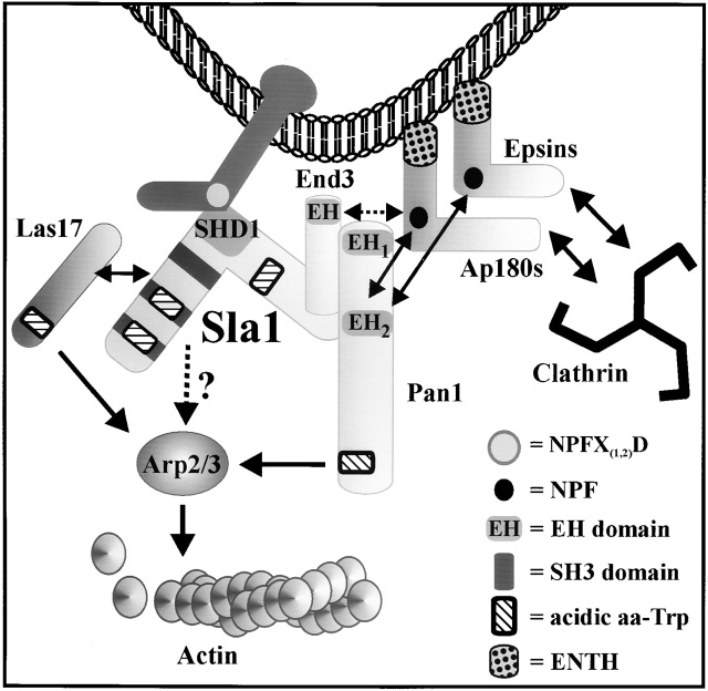 Figure 7.