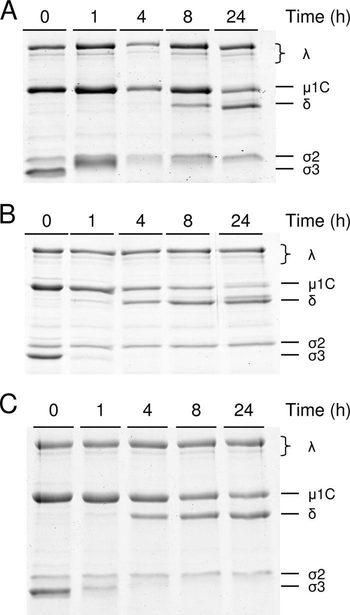 FIG. 1.