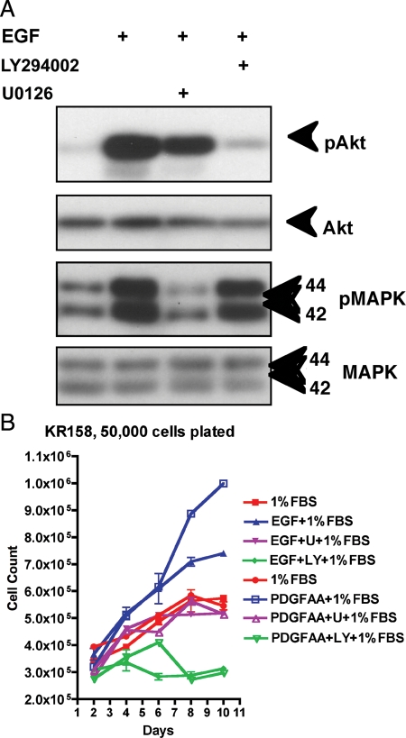 Fig. 4.