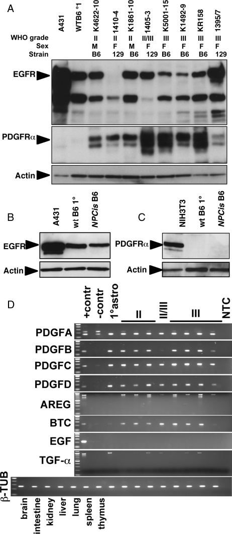 Fig. 3.