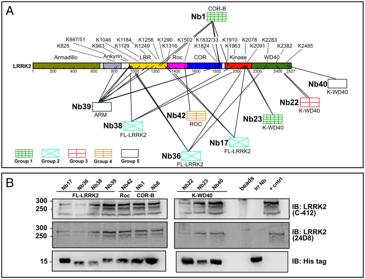 Fig. 3.