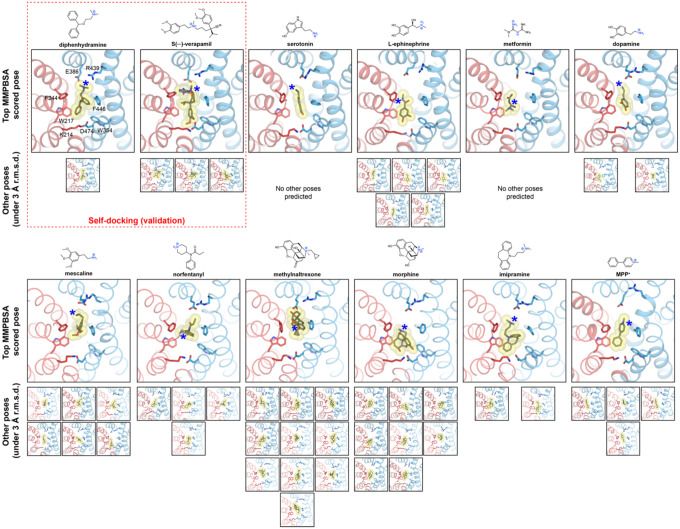 Extended Data Figure 7 |