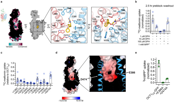 Figure 2 |