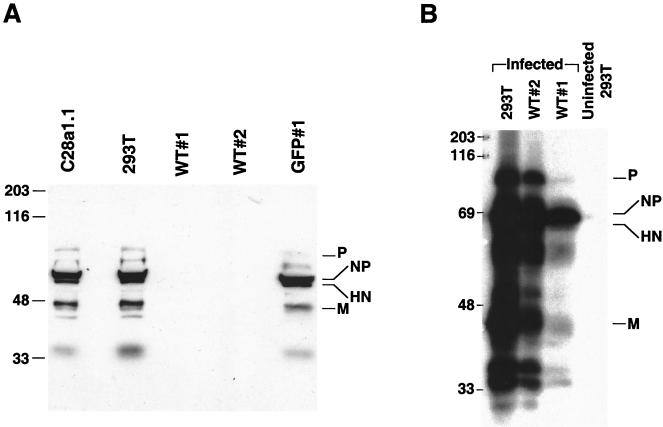 FIG. 6