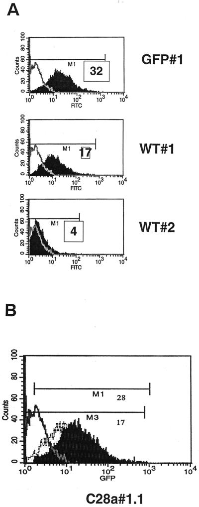 FIG. 1