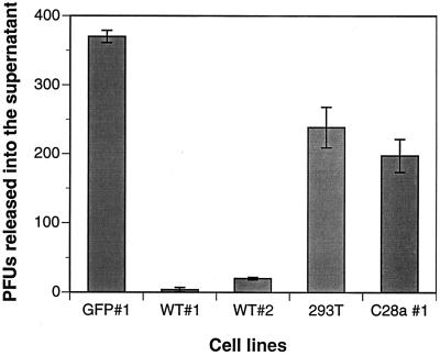 FIG. 7