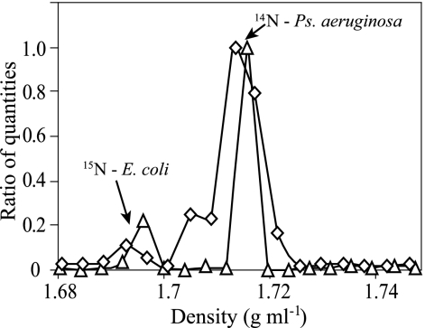 FIG. 5.