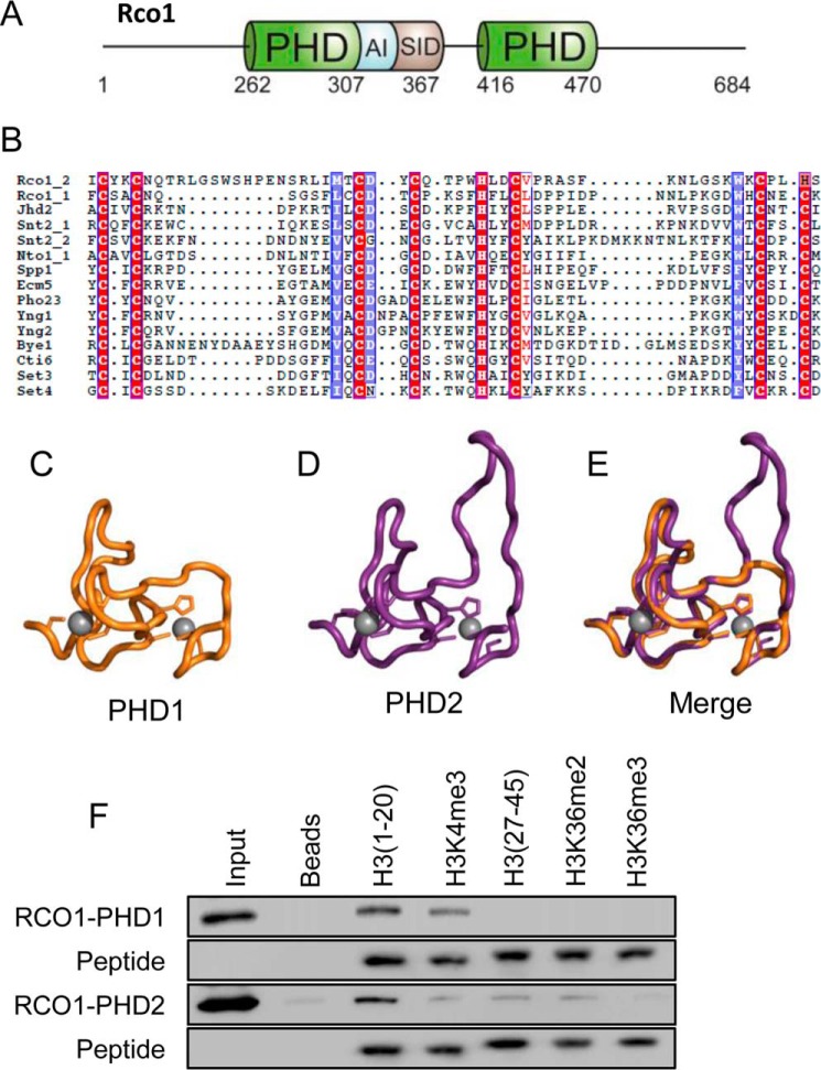 FIGURE 1.