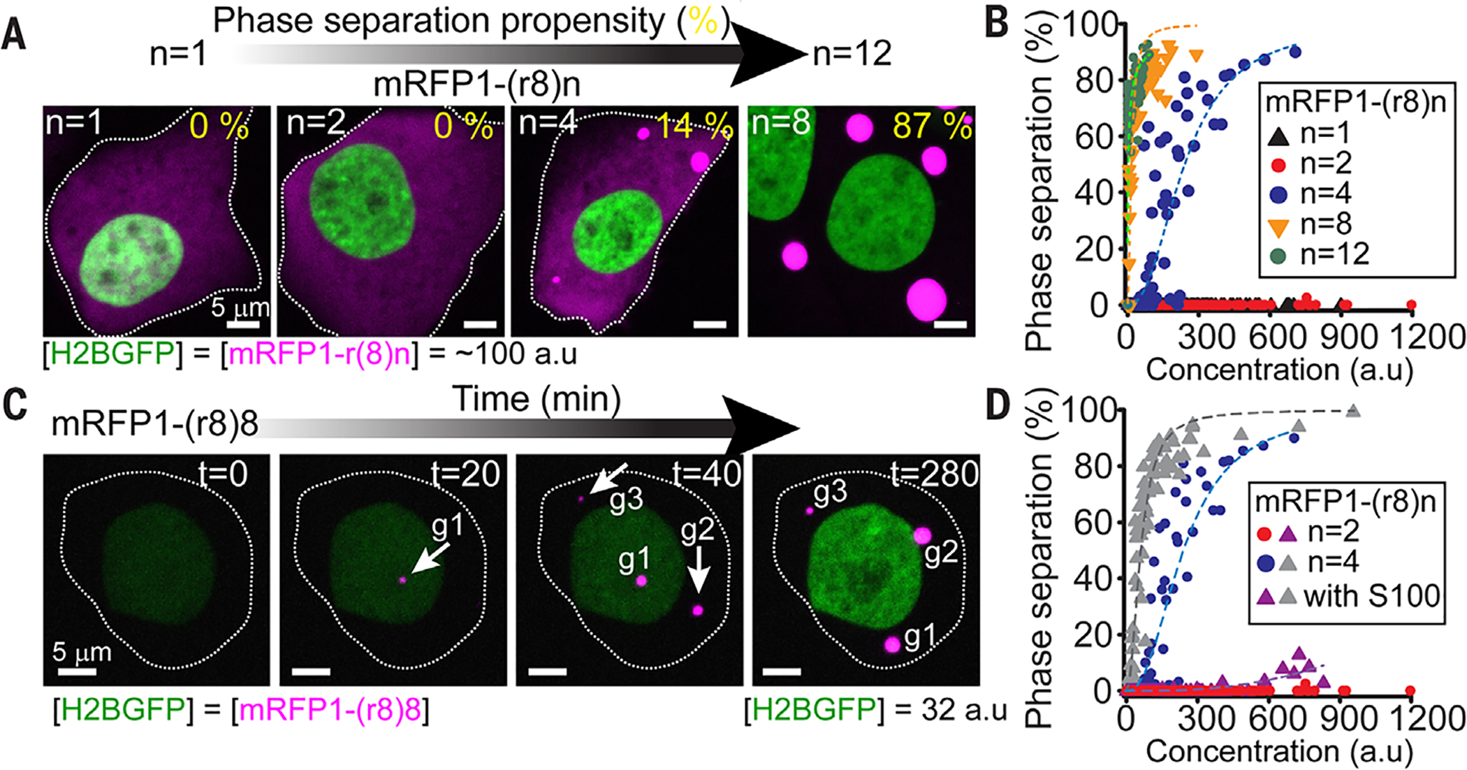 Fig. 2.