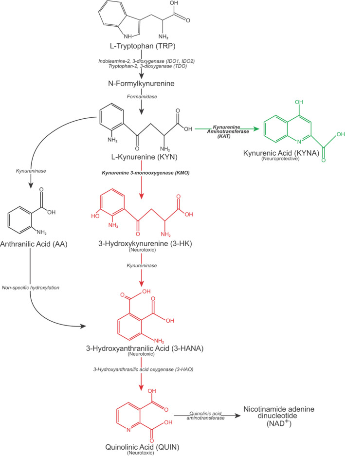 FIGURE 1