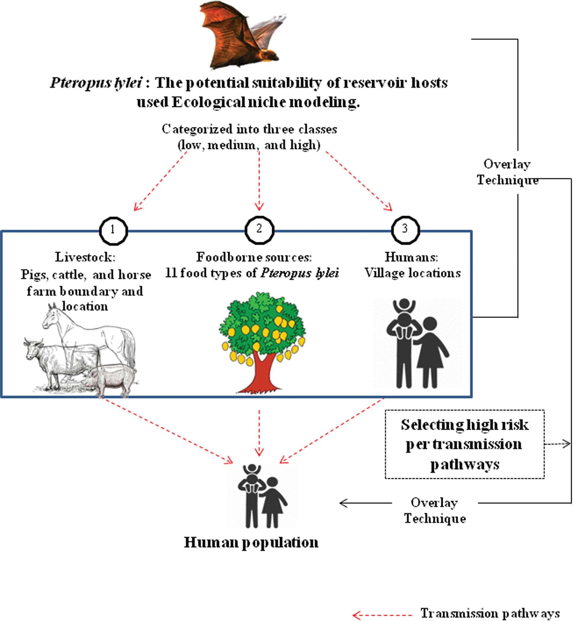 Figure 2.