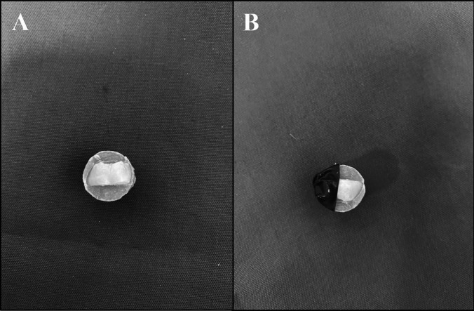 Fig. 1