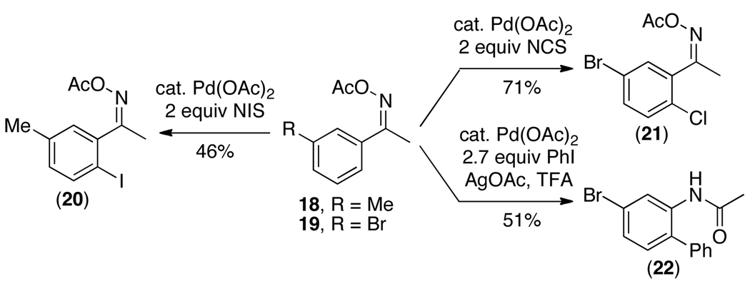 Scheme 3