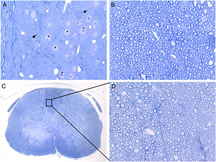 FIG 10