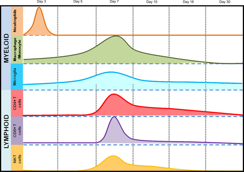 FIG 1