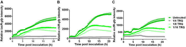 FIGURE 2