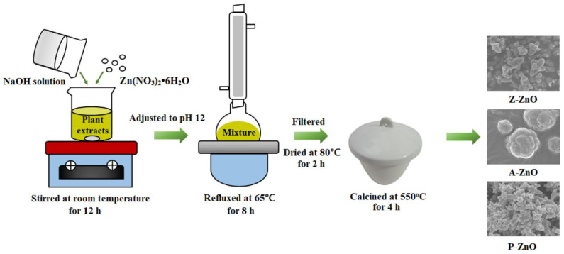 Figure 9