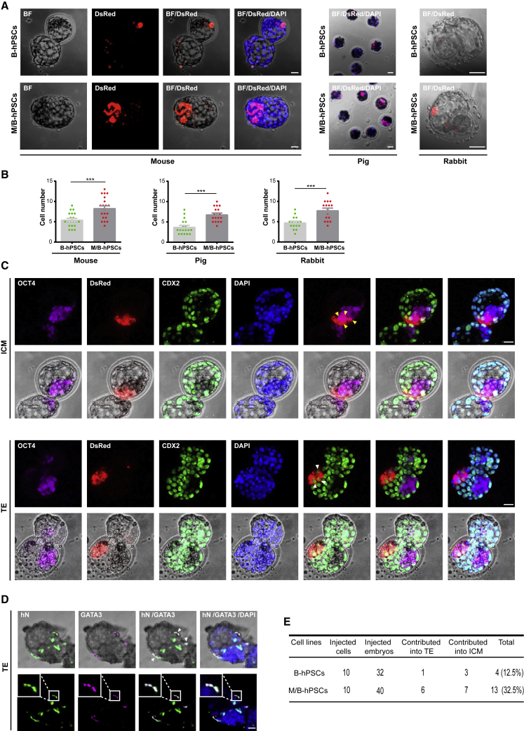 Figure 2