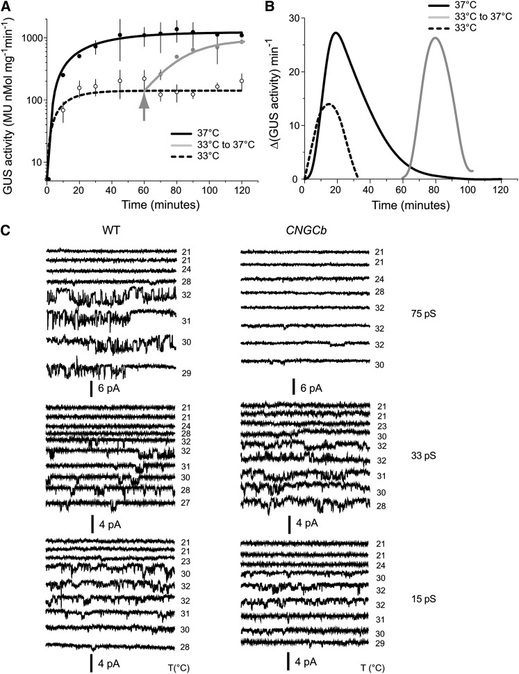 Figure 5.