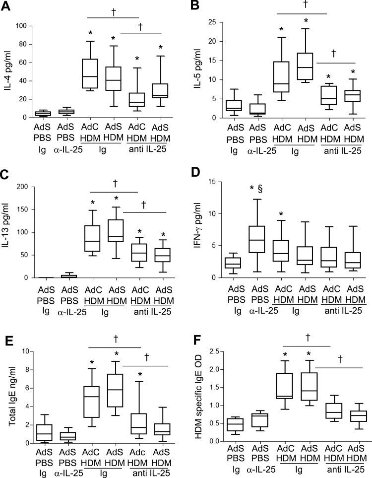 Figure 6