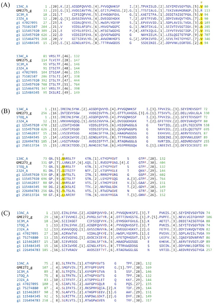 Fig 10