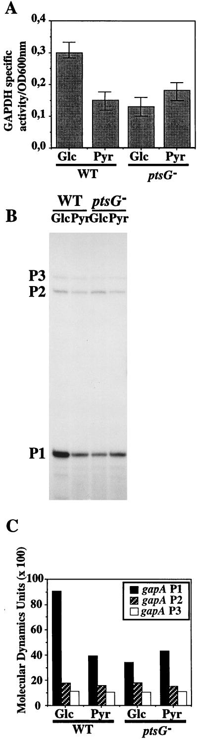 FIG. 6