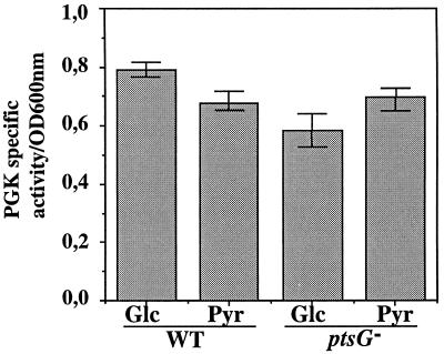 FIG. 5