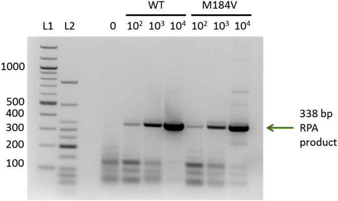 Fig. 4