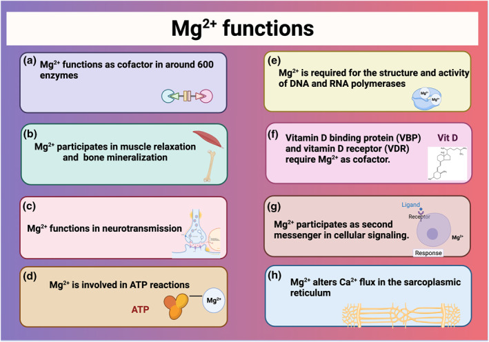 FIGURE 3