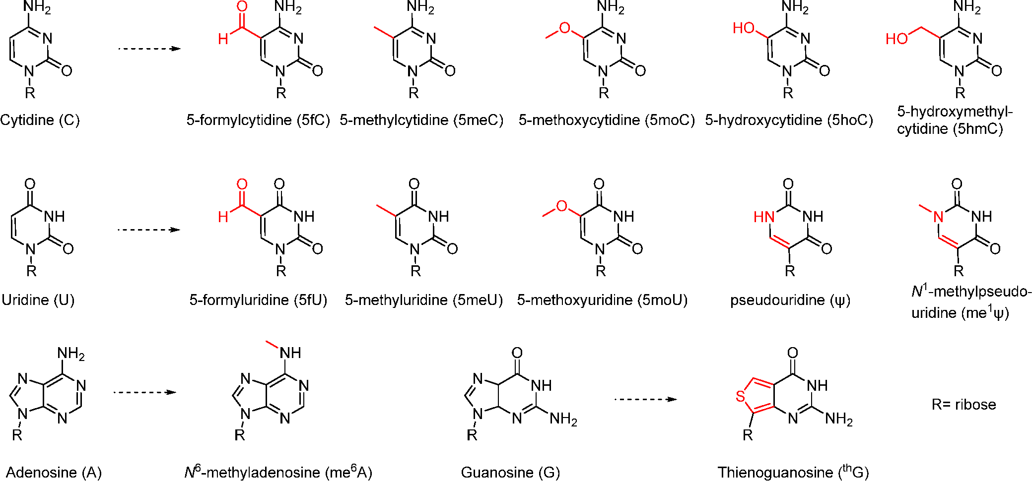 Scheme 4.