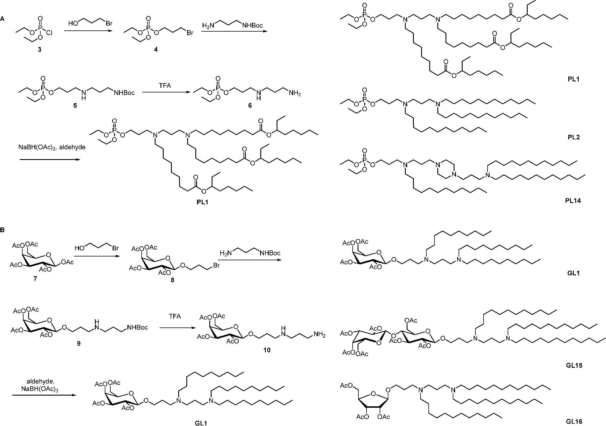 Scheme 3.