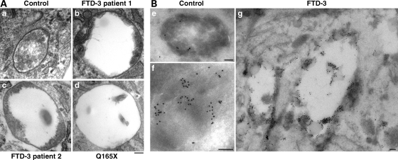 Figure 4.