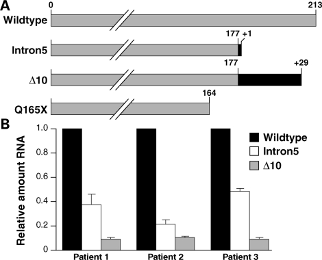 Figure 1.